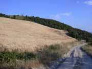 Monte Grosso