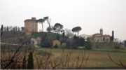 Oriolo