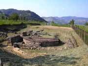 Mevaniola