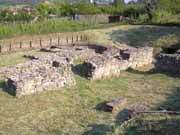Mevaniola