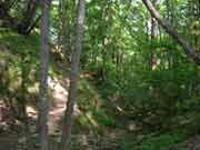 gagmogna bosco