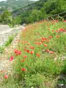 Crespino sul Lamone area attrezzata