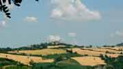 Giaggiolo
