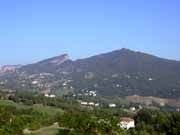 Perticara