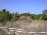 Monte Pincio