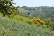 Montecavallo