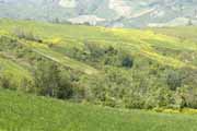 Montecavallo