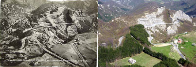 Mandrioli