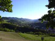 mirabello