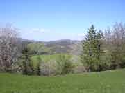 Monte Busca