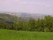 prugno