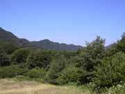 Bocca trabaria