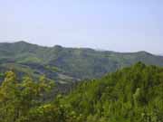 Valico colle del trebbio