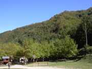 area