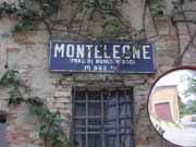 Monteleone