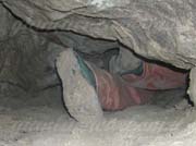 cavinale