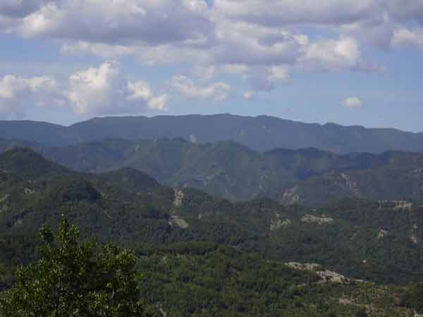 crinale