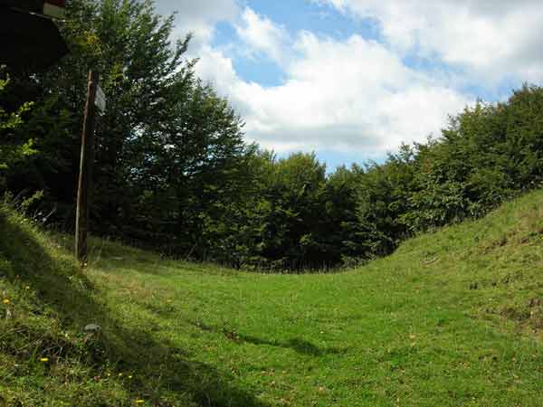 Porcareccio
