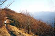 Colla Tre Faggi