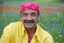 roberto