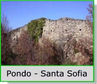 Pondo