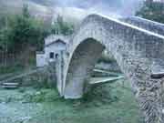 montone