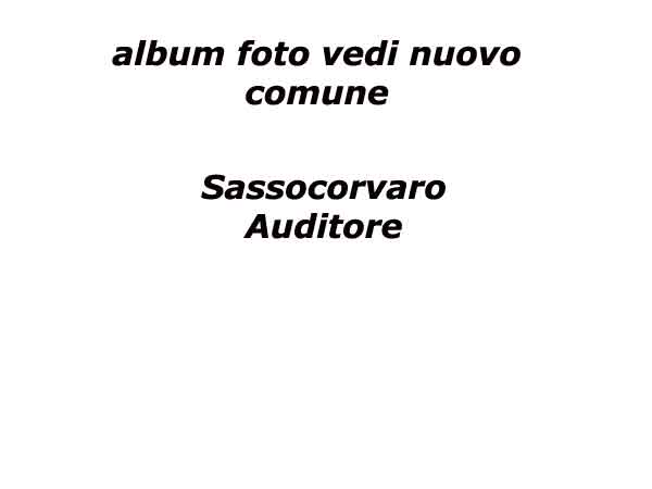 Auditore