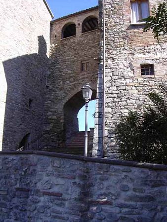 Foglia