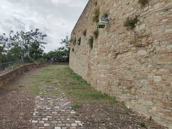 Bertinoro