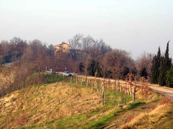 Brisighella