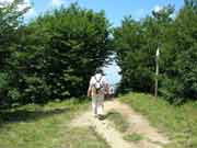 Monte Falco