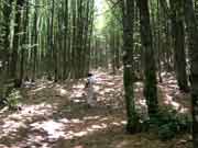Passo Piancancelli