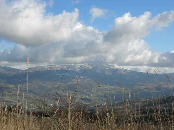 Carpegna