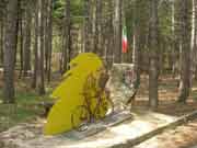 pantani