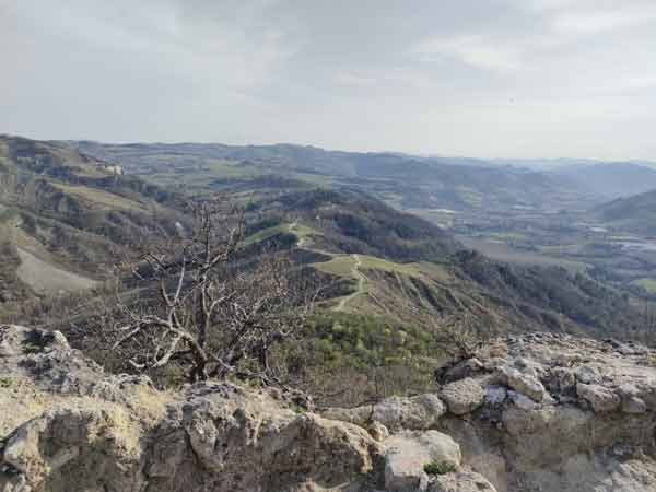 torre di Ceparano