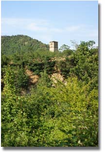 Castiglinocello