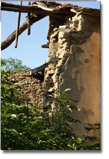 Castiglioncello
