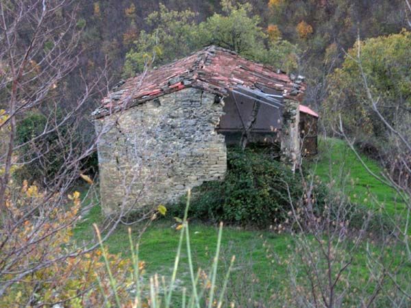 faggia