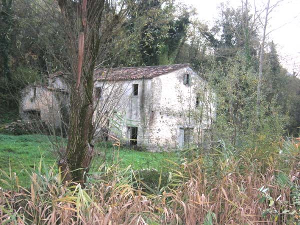 molino nuovo