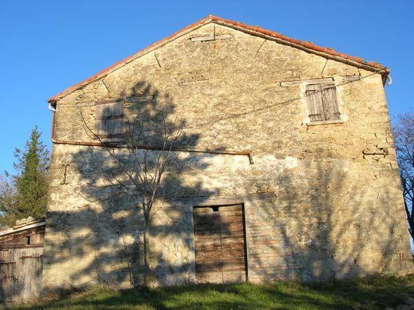 fattoria