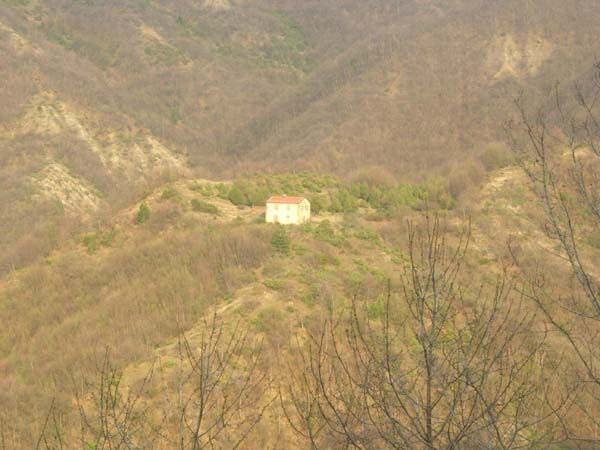 pian olmo
