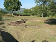 Mevaniola