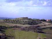 Osservatorio visto da San Martino in Monte