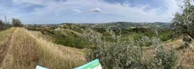 brisighella3