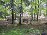 Prato all'albero area attrezzata