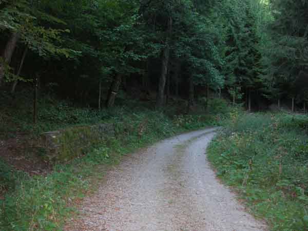 cavallaro