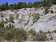 Monte Coronaro - le marne