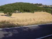 strada Tavolicci-Sarsina