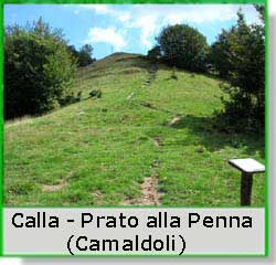 Calla - Prato alla Penna (Camaldoli)