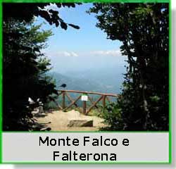 Monte Falco e Falterona